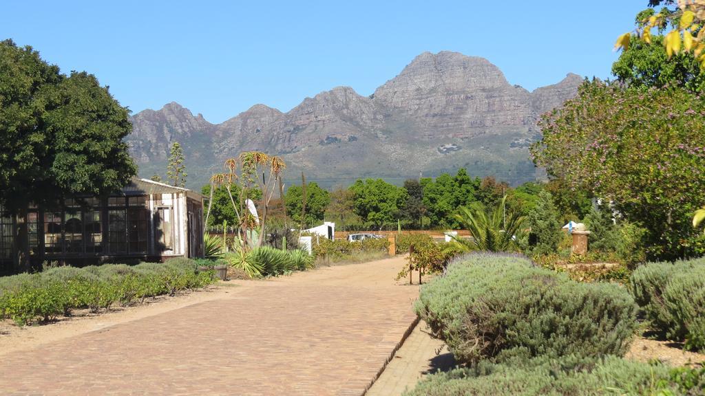 De Oude Schuur Lägenhet Stellenbosch Rum bild