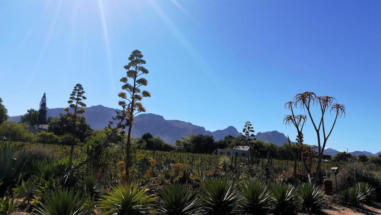 De Oude Schuur Lägenhet Stellenbosch Exteriör bild